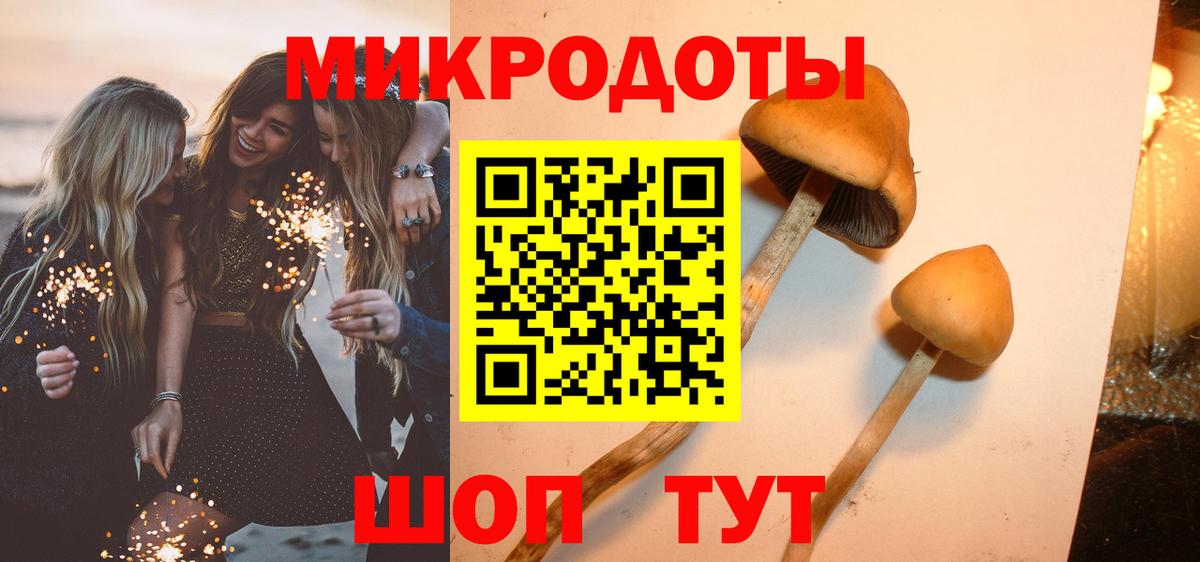 Янаул  Галлюциногенные грибы прущие грибы  Вход с VPN 